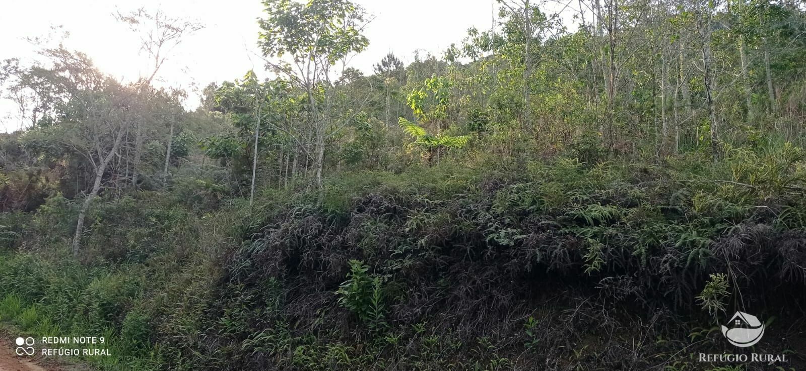 Sítio de 8 ha em Monteiro Lobato, SP