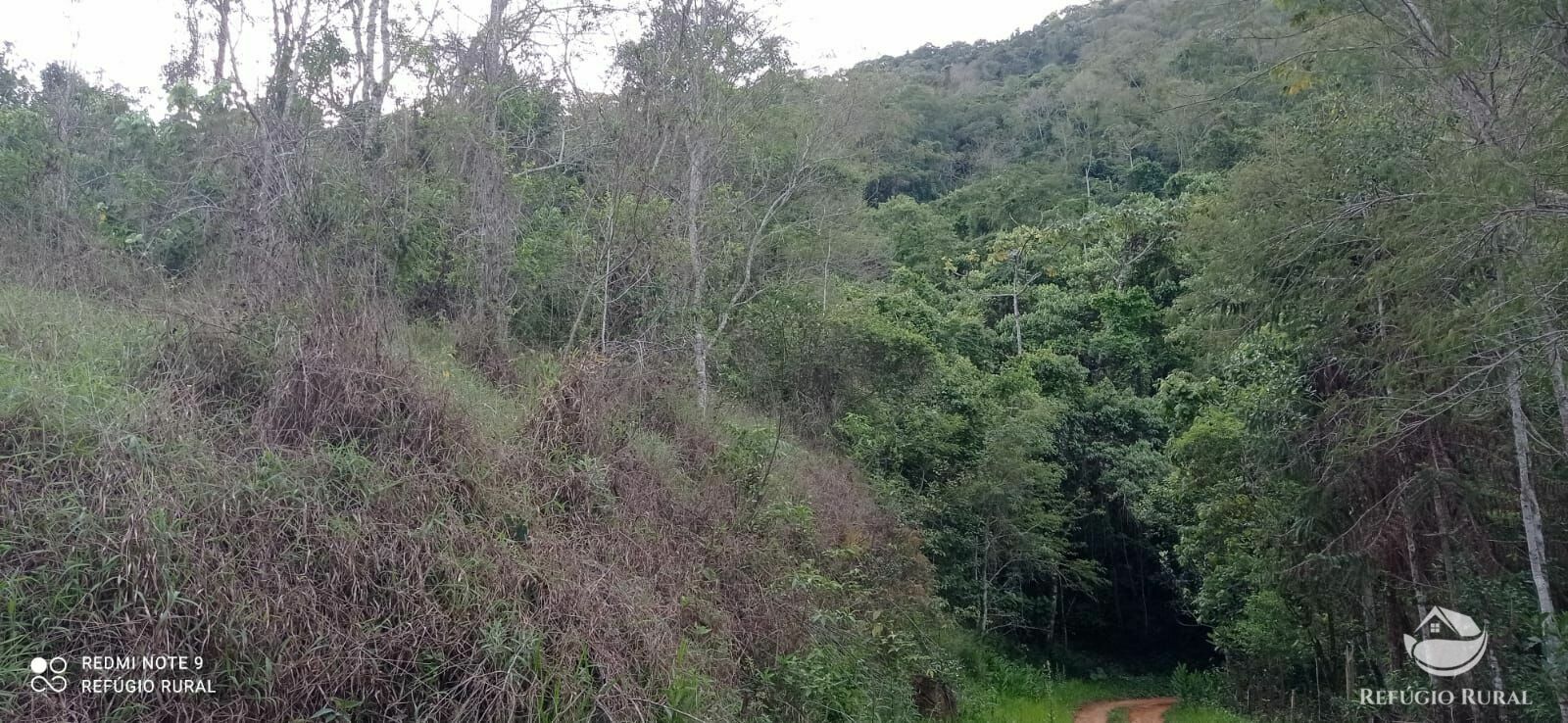 Sítio de 8 ha em Monteiro Lobato, SP