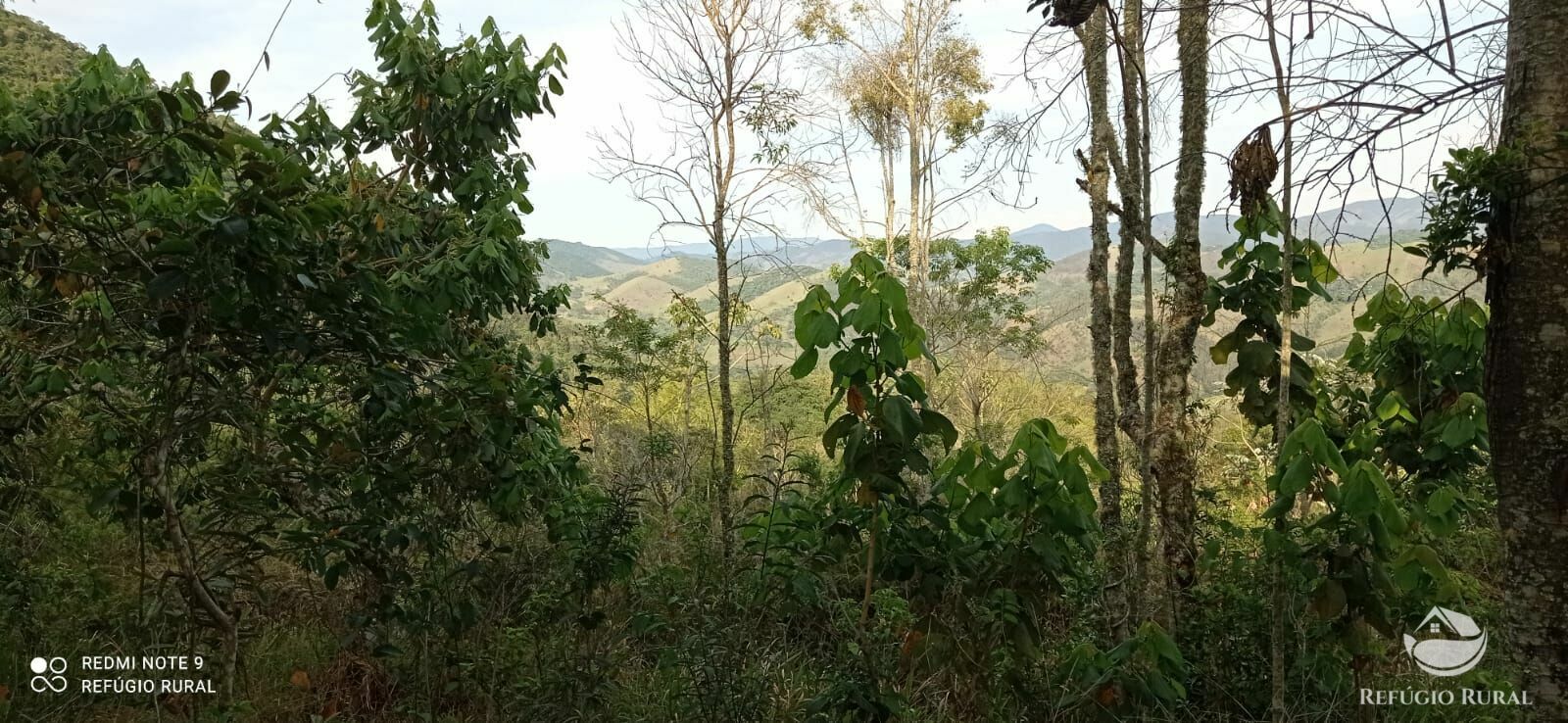 Sítio de 8 ha em Monteiro Lobato, SP