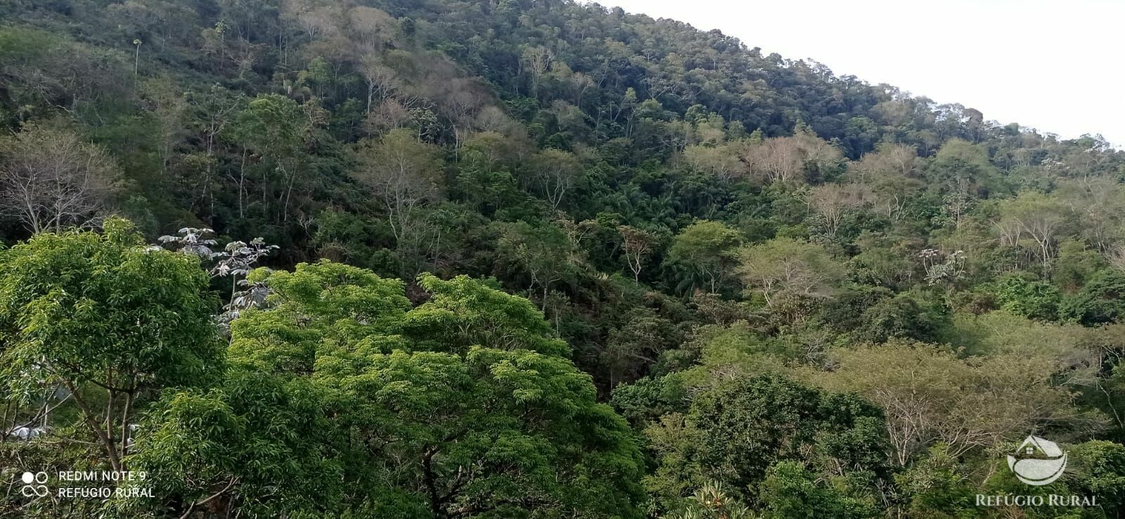 Sítio de 8 ha em Monteiro Lobato, SP