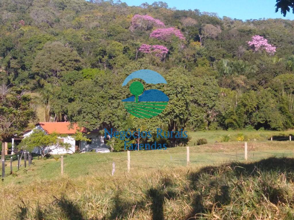 Fazenda de 72 ha em Pirenópolis, GO