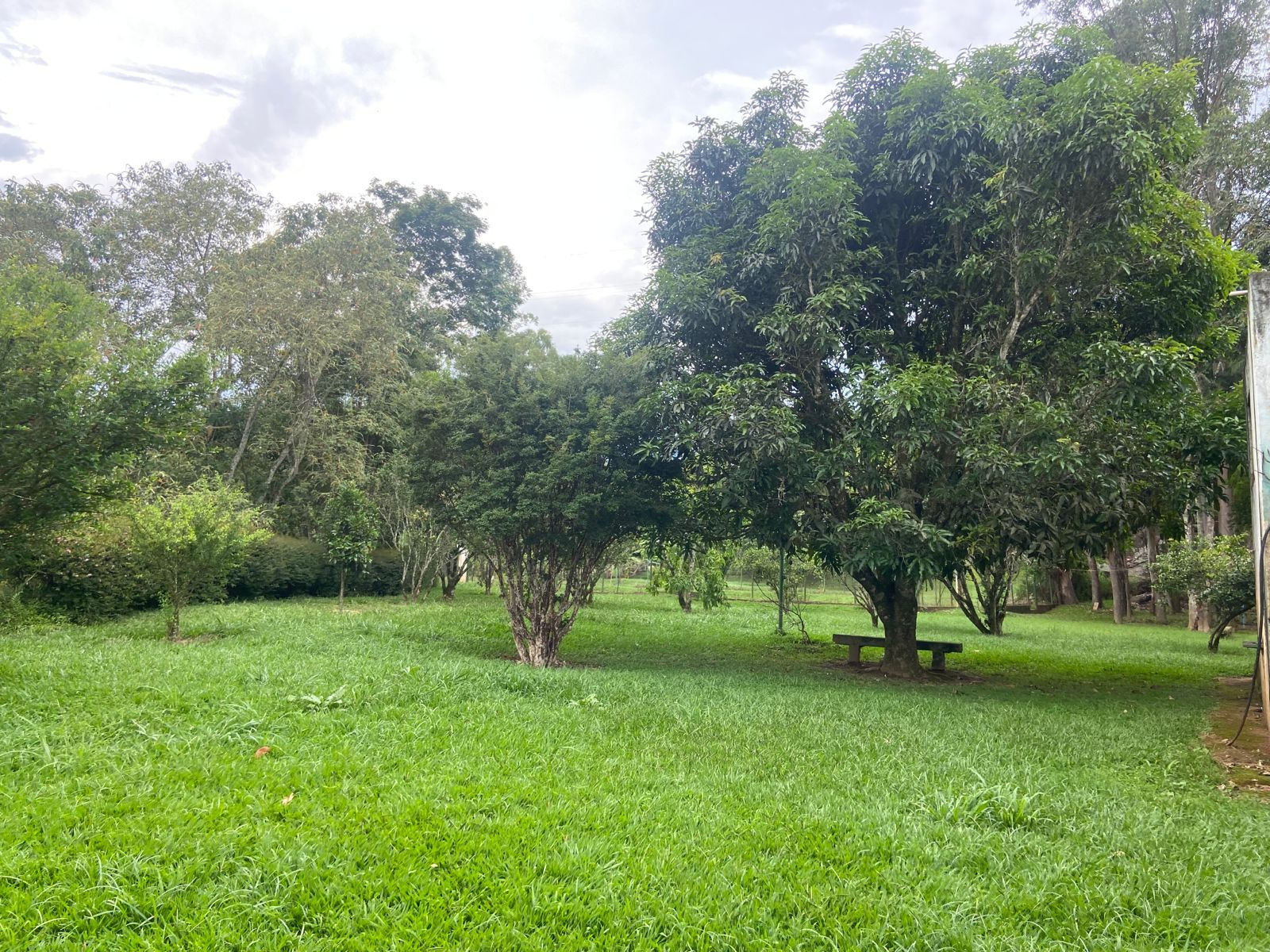 Chácara de 7.000 m² em Cunha, SP