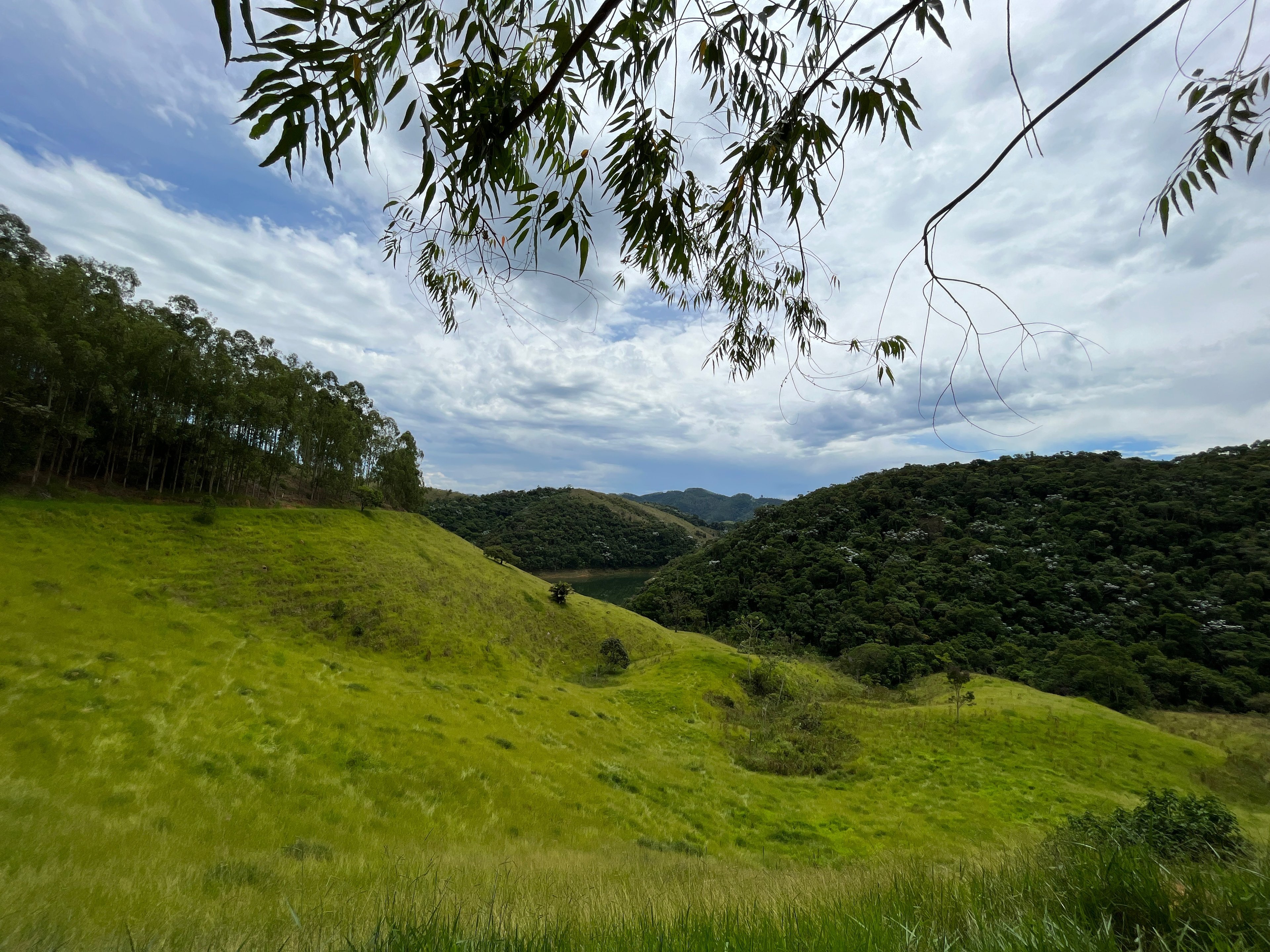 Fazenda de 339 ha em Natividade da Serra, SP