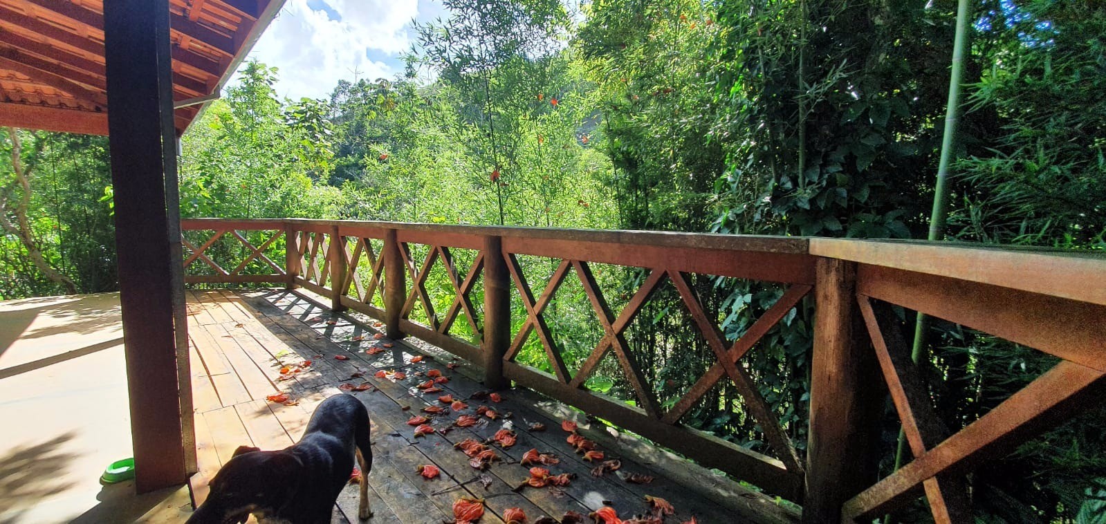 Fazenda de 339 ha em Natividade da Serra, SP