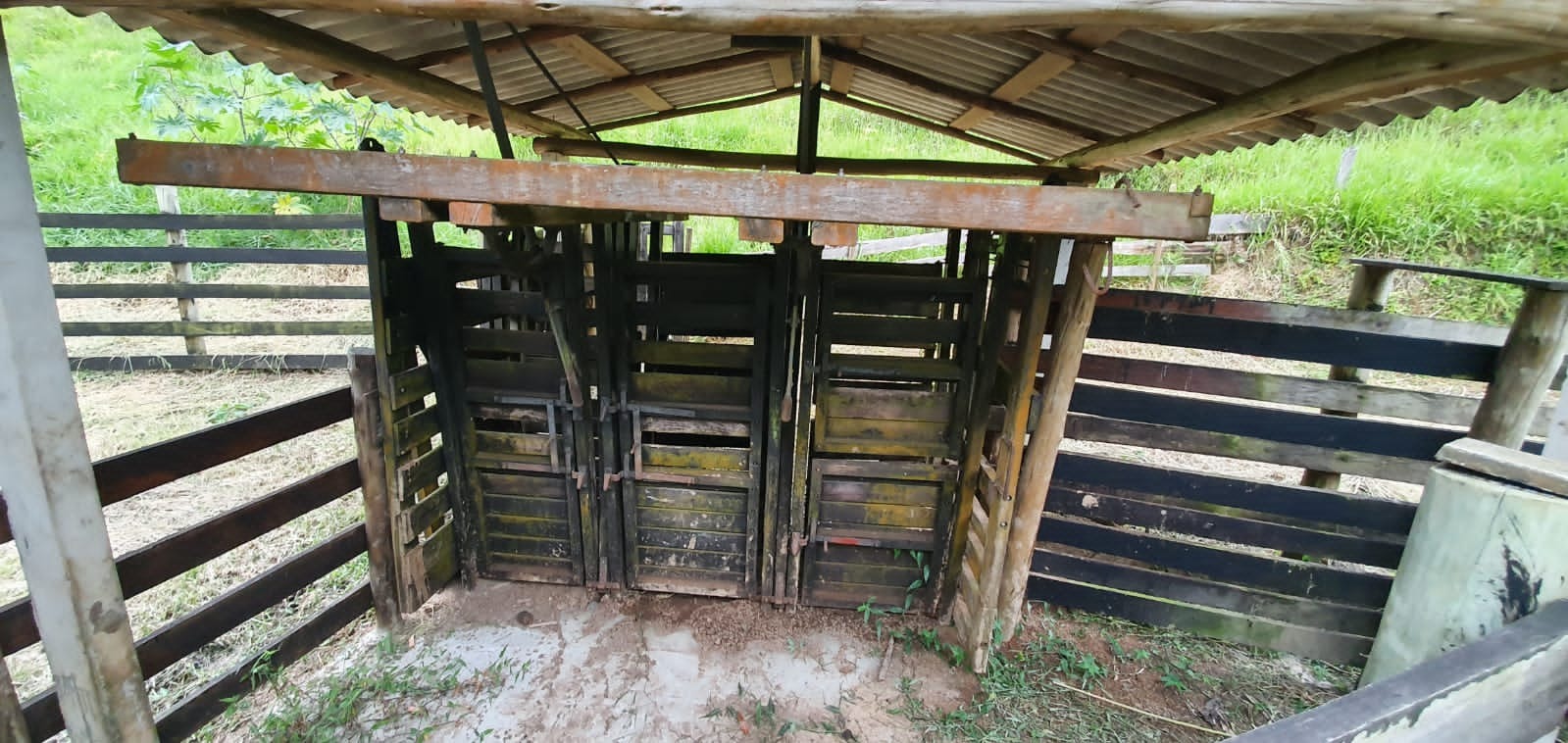 Fazenda de 339 ha em Natividade da Serra, SP