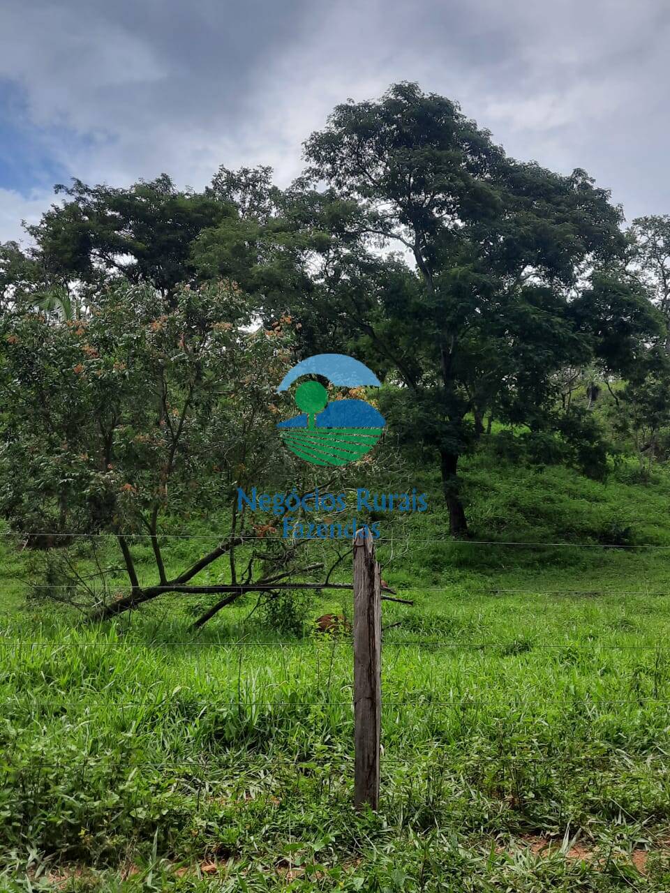 Fazenda de 401 ha em Mimoso de Goiás, GO