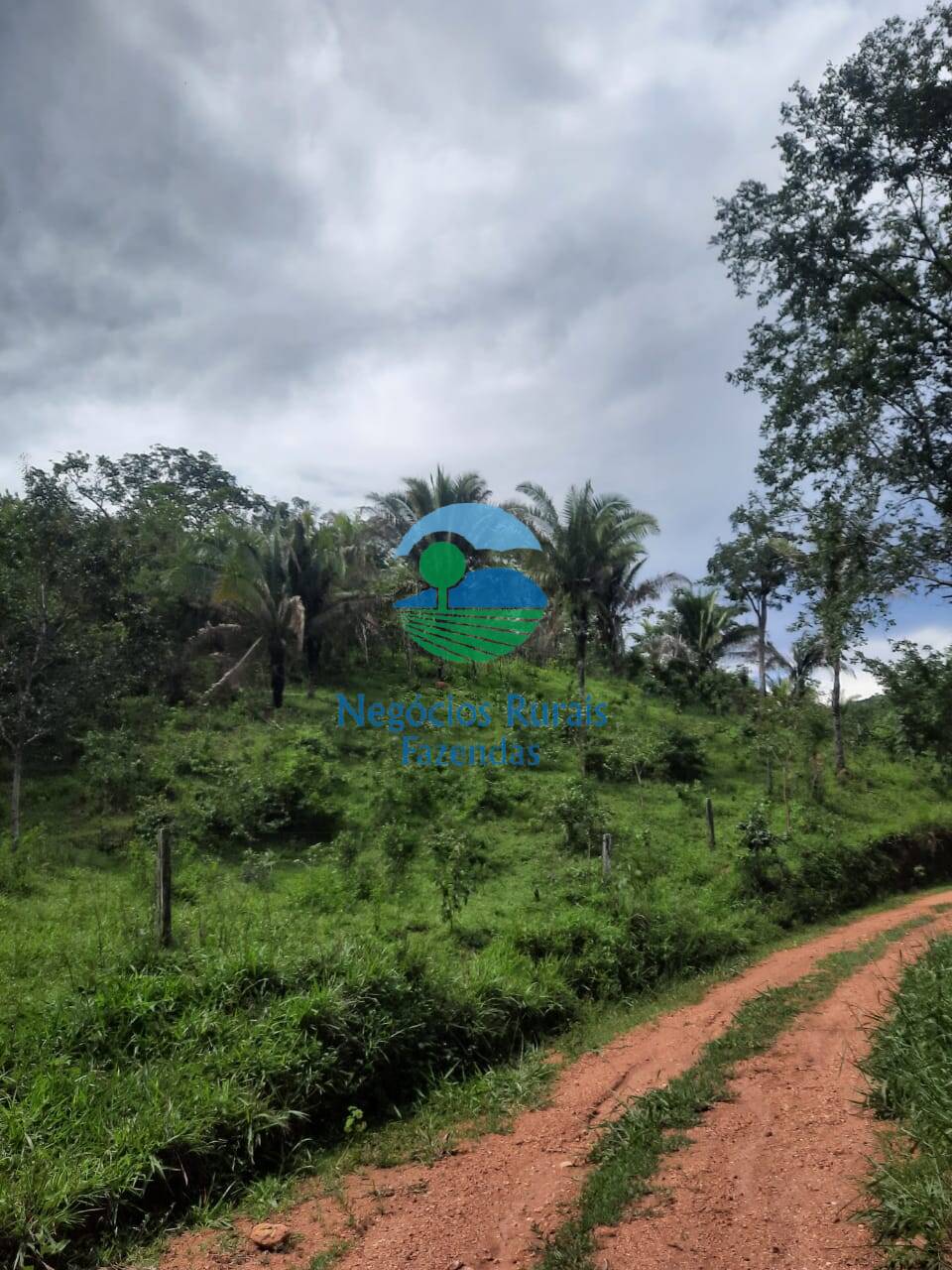 Fazenda de 401 ha em Mimoso de Goiás, GO