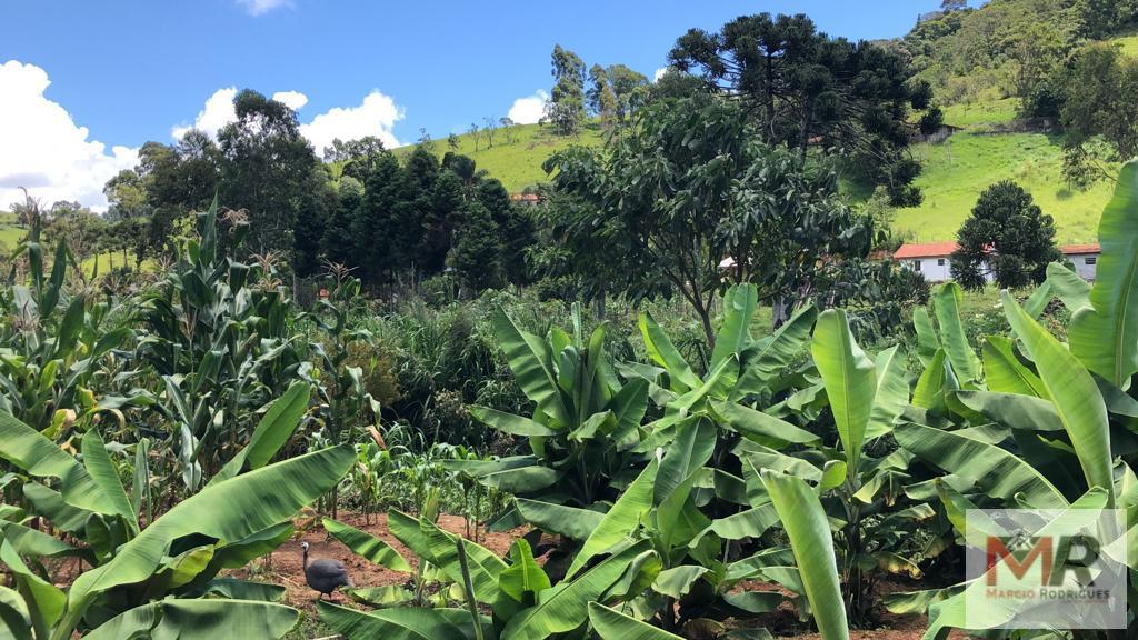 Sítio de 4.000 m² em Camanducaia, MG