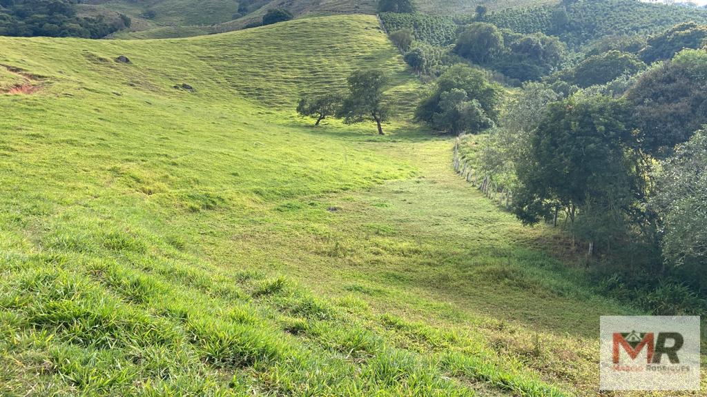 Fazenda de 43 ha em Ouro Fino, MG