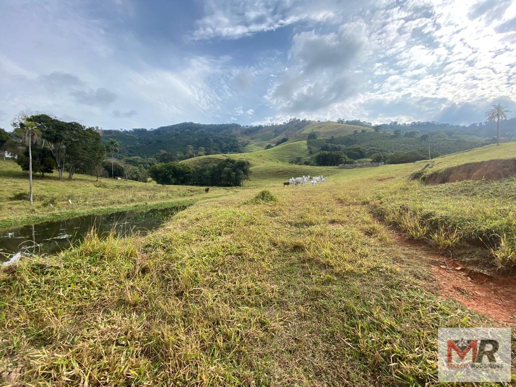 Fazenda de 43 ha em Ouro Fino, MG