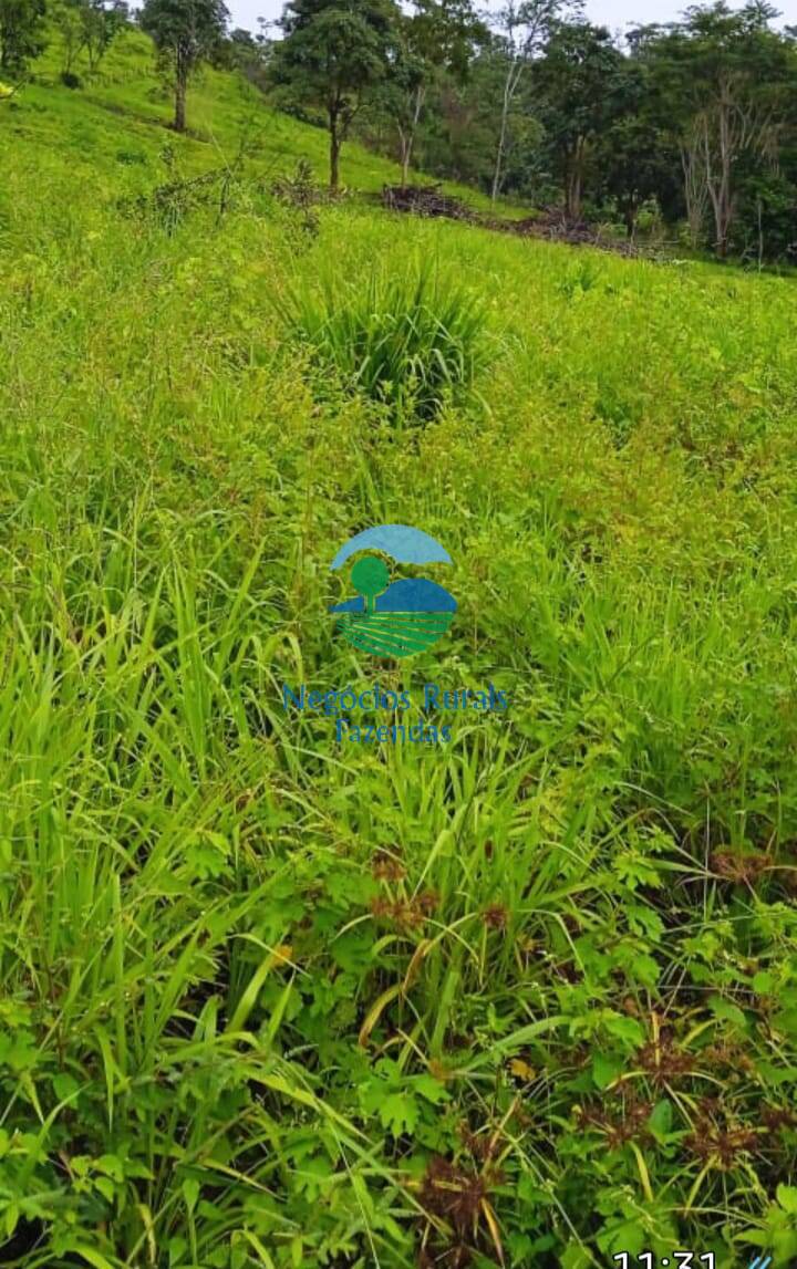 Fazenda de 1.064 ha em São Félix do Xingu, PA