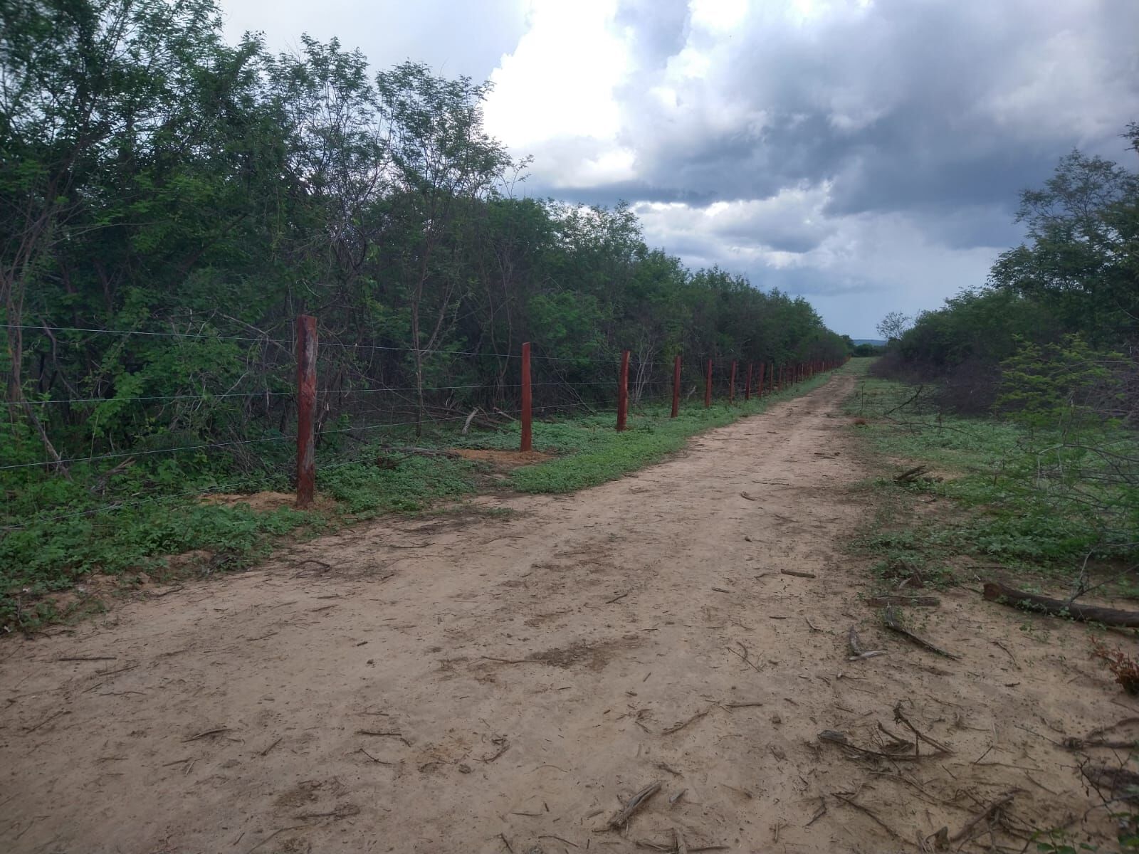 Fazenda de 1.550 ha em Ibotirama, BA