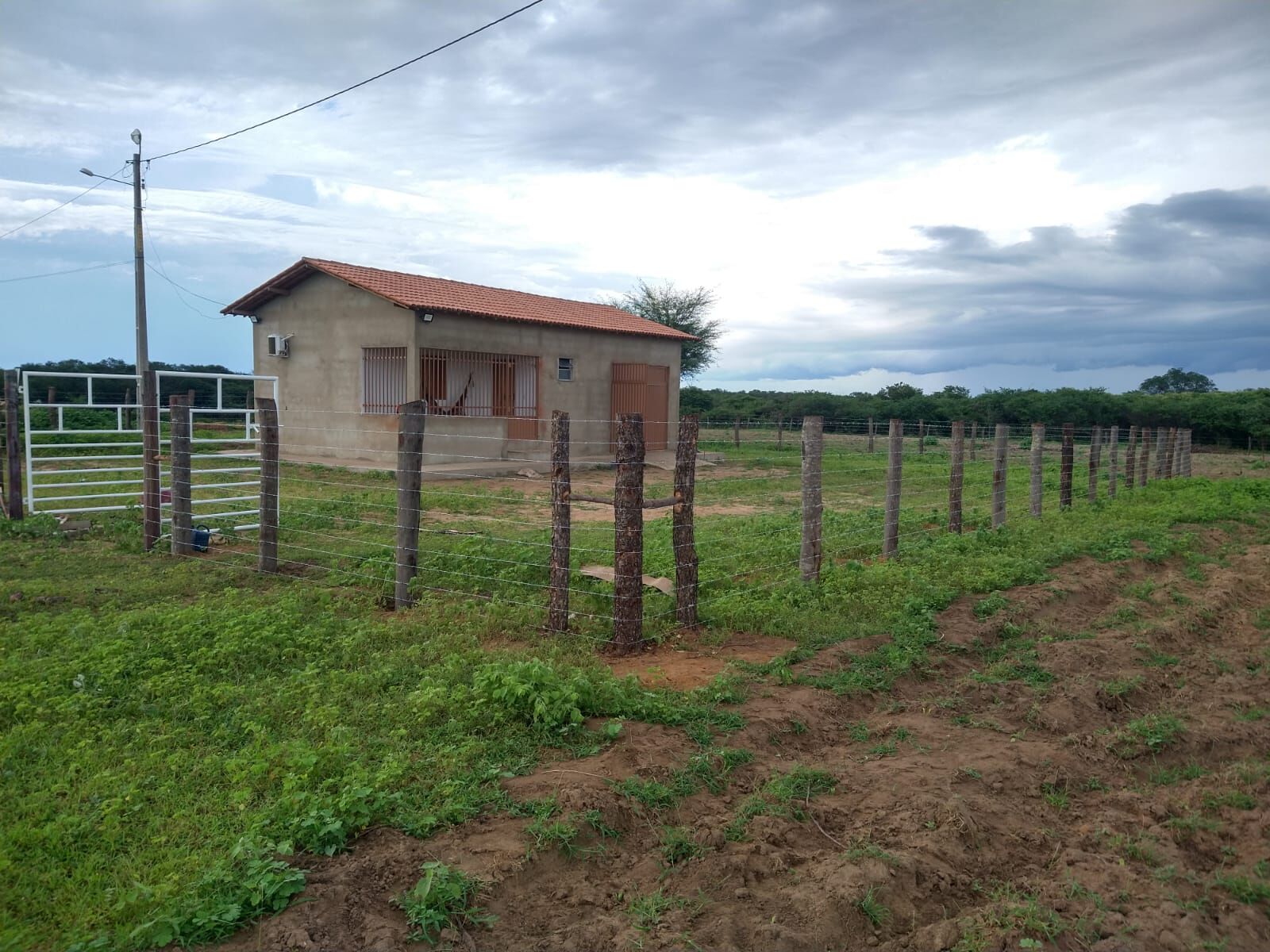Fazenda de 1.550 ha em Ibotirama, BA