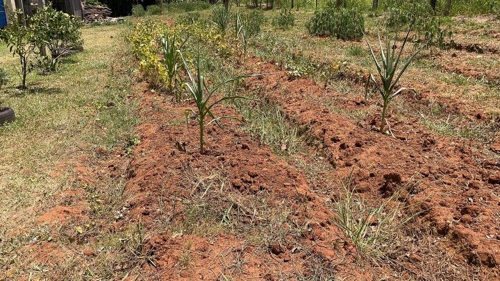 Chácara de 2.700 m² em Gravataí, RS