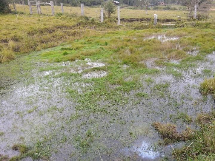 Sítio de 12 ha em Santo Antônio da Patrulha, RS