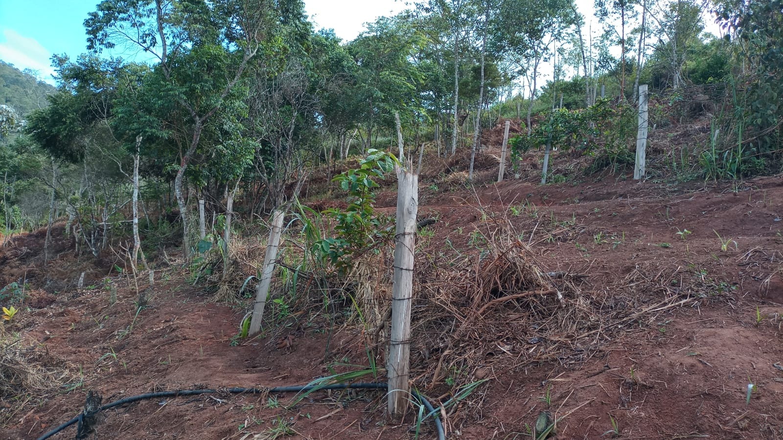 Chácara de 3 ha em Monteiro Lobato, SP