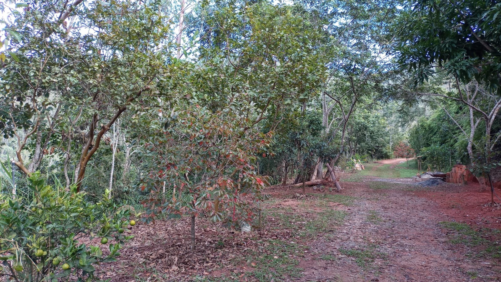 Chácara de 3 ha em Monteiro Lobato, SP