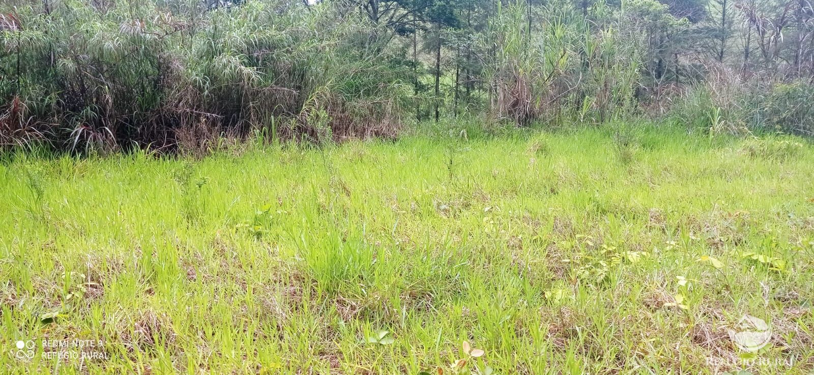 Terreno de 3 ha em Monteiro Lobato, SP