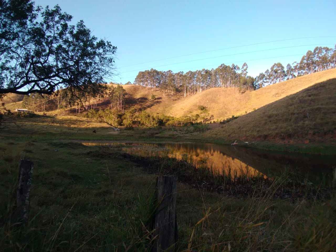 Sítio de 12 ha em Natividade da Serra, SP