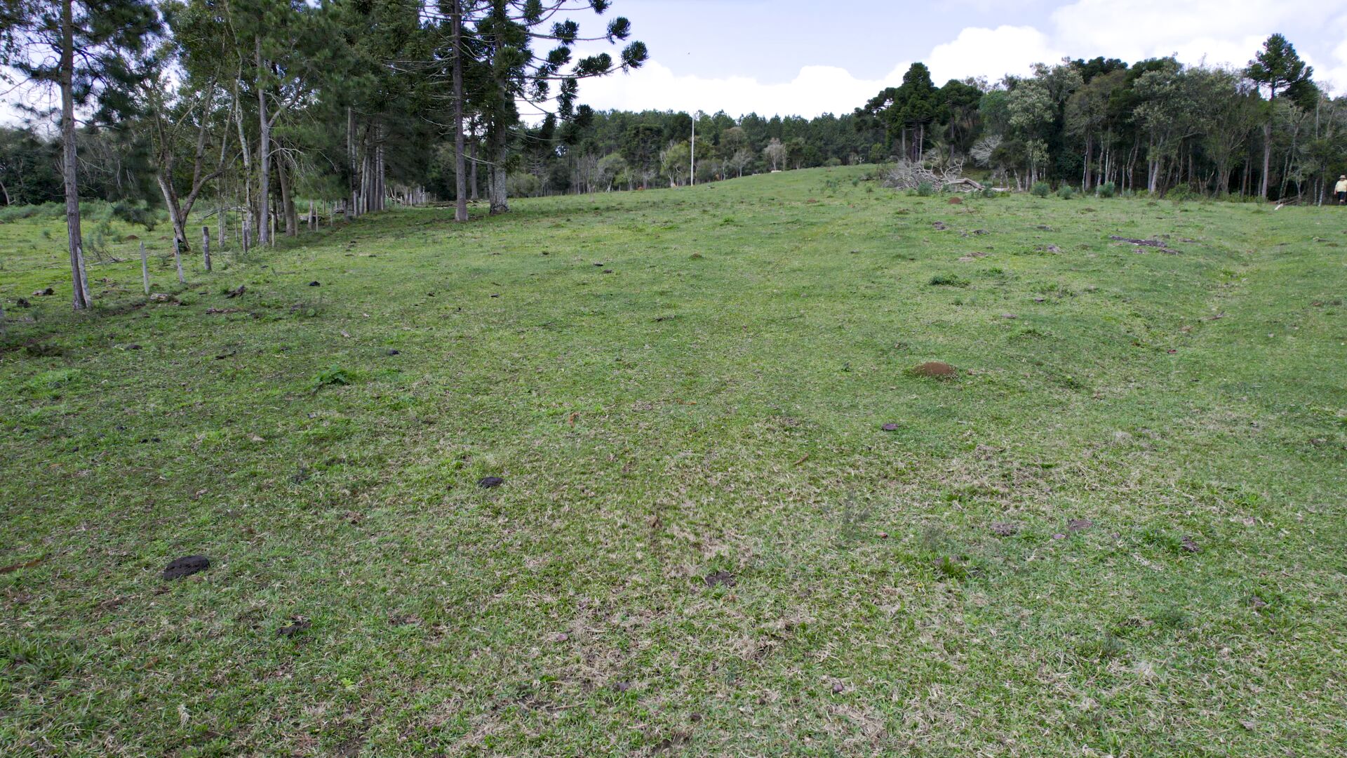 Terreno de 14 ha em Ponte Alta, SC