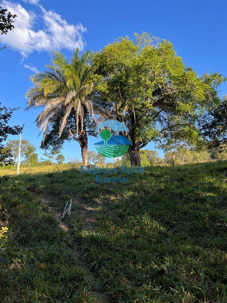 Fazenda de 206 ha em Cromínia, GO