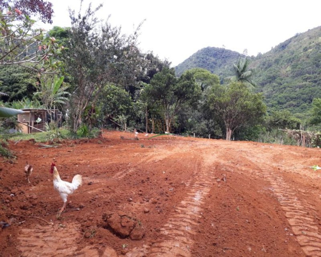 Terreno de 2 ha em São José dos Campos, SP