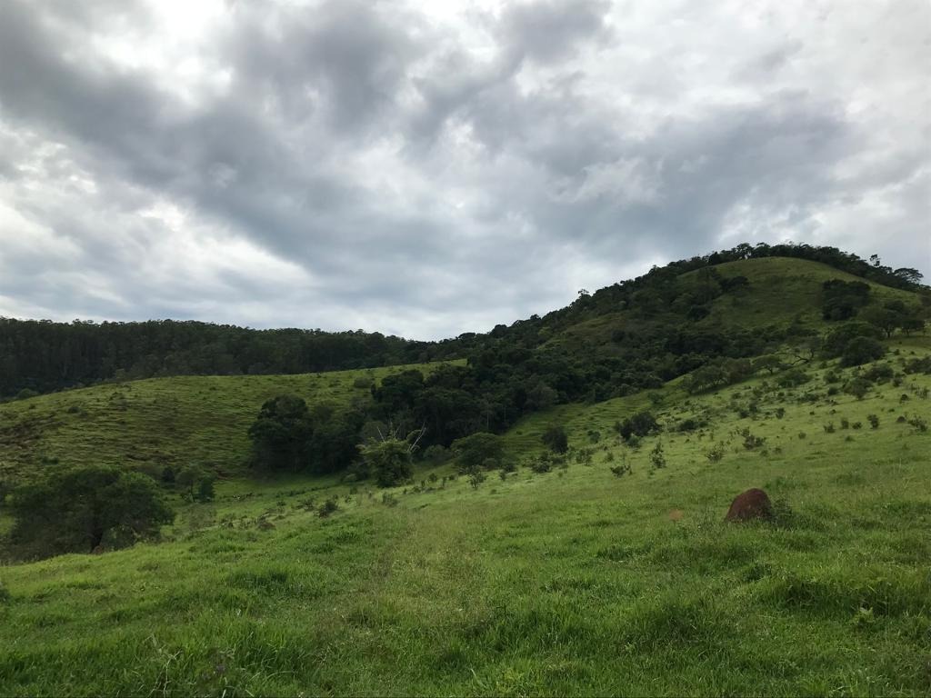 Sítio de 31 ha em Jambeiro, SP