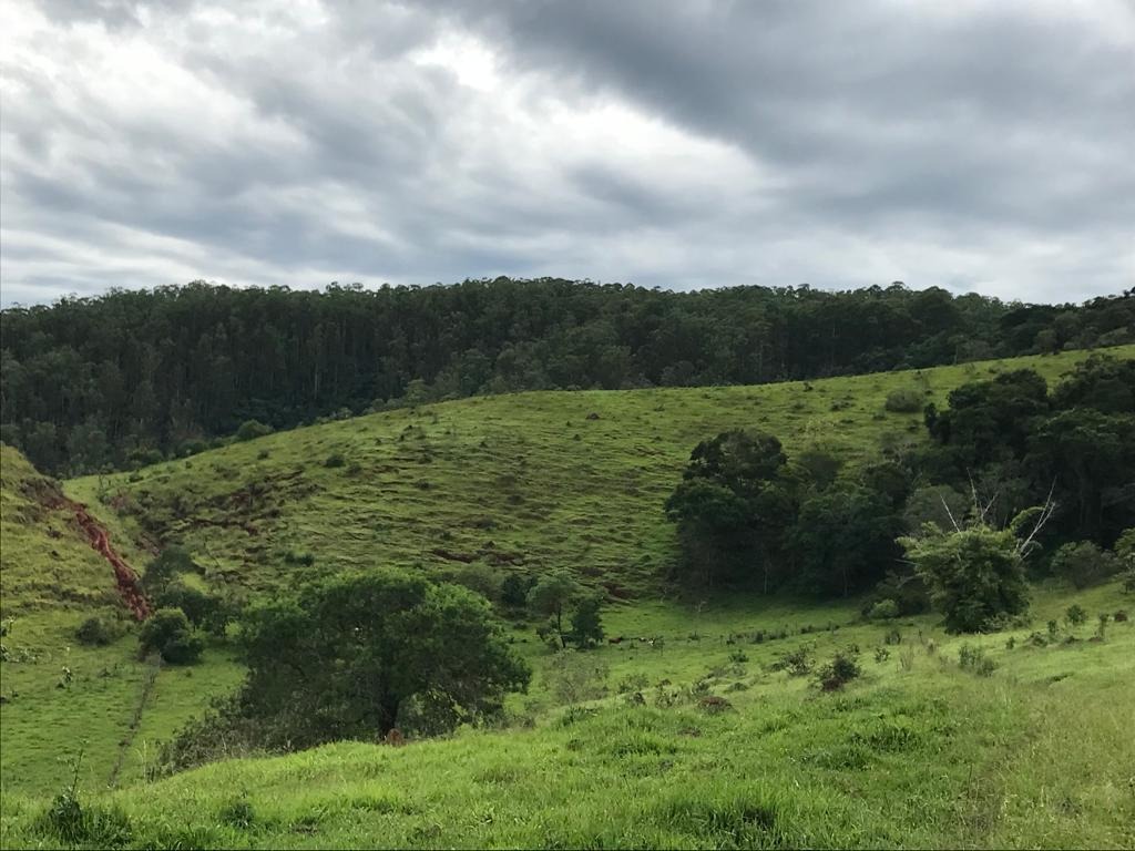 Sítio de 31 ha em Jambeiro, SP