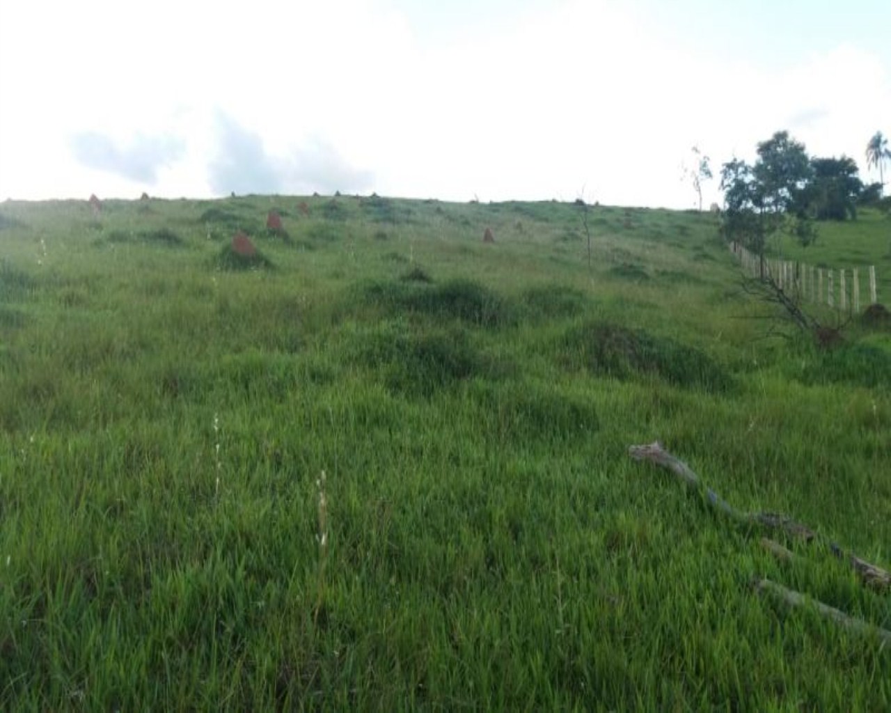Terreno de 9 ha em Taubaté, SP
