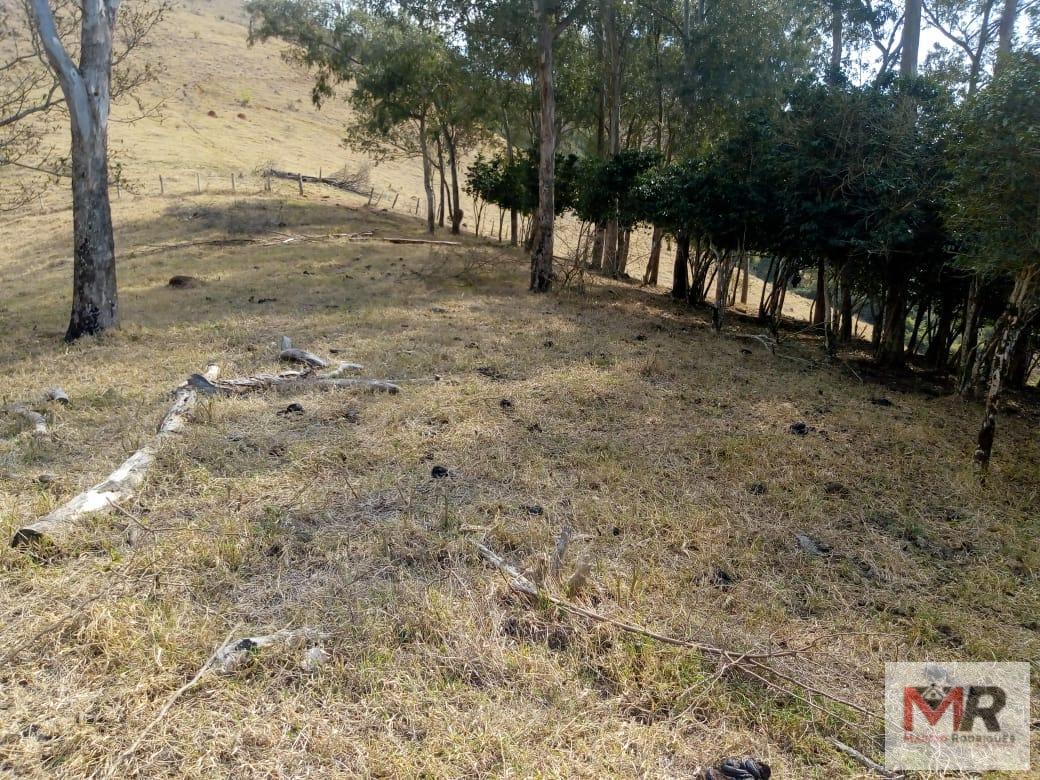 Fazenda de 48 ha em Cambuí, MG