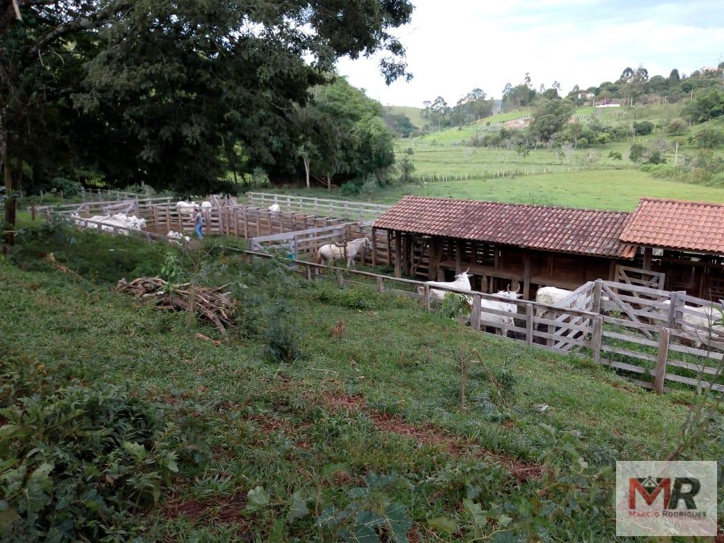 Fazenda de 48 ha em Cambuí, MG
