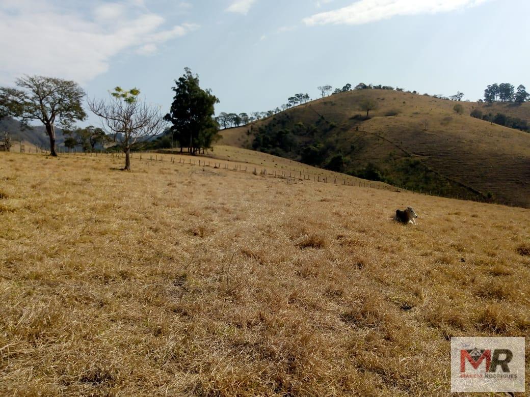 Fazenda de 48 ha em Cambuí, MG