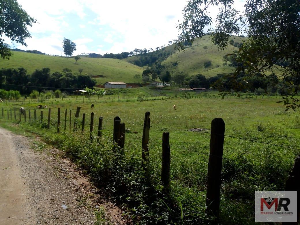 Fazenda de 48 ha em Cambuí, MG