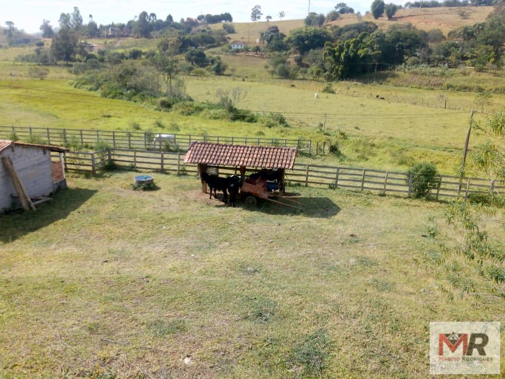 Fazenda de 48 ha em Cambuí, MG