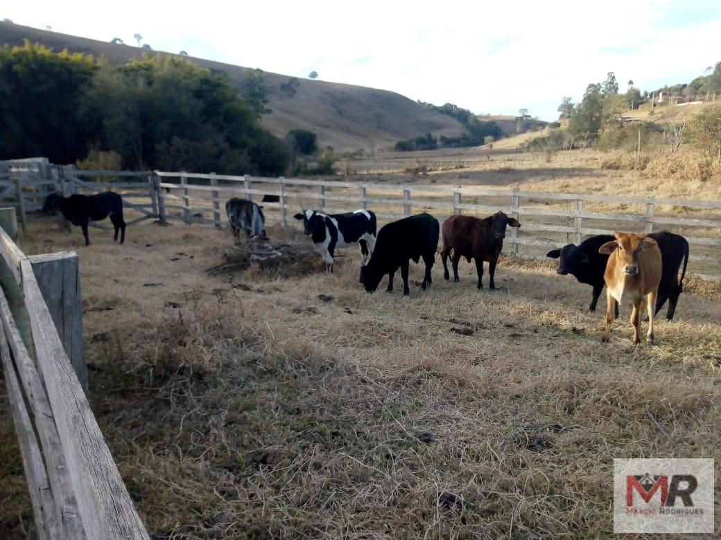 Fazenda de 48 ha em Cambuí, MG