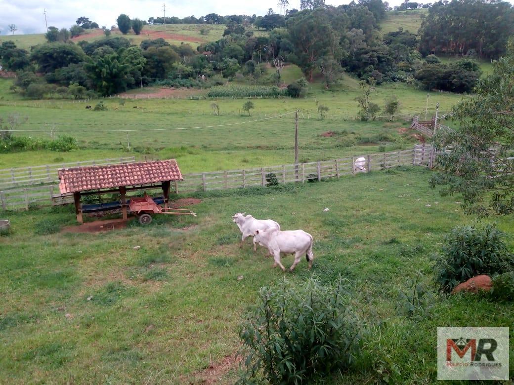 Fazenda de 48 ha em Cambuí, MG