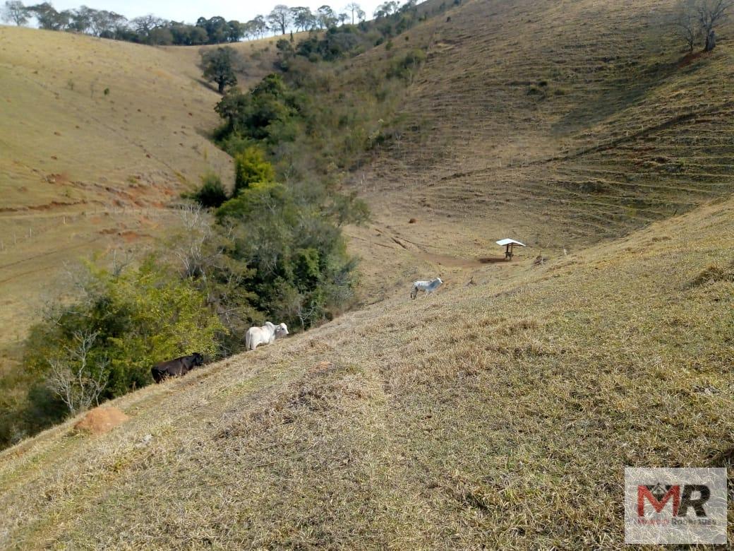 Fazenda de 48 ha em Cambuí, MG