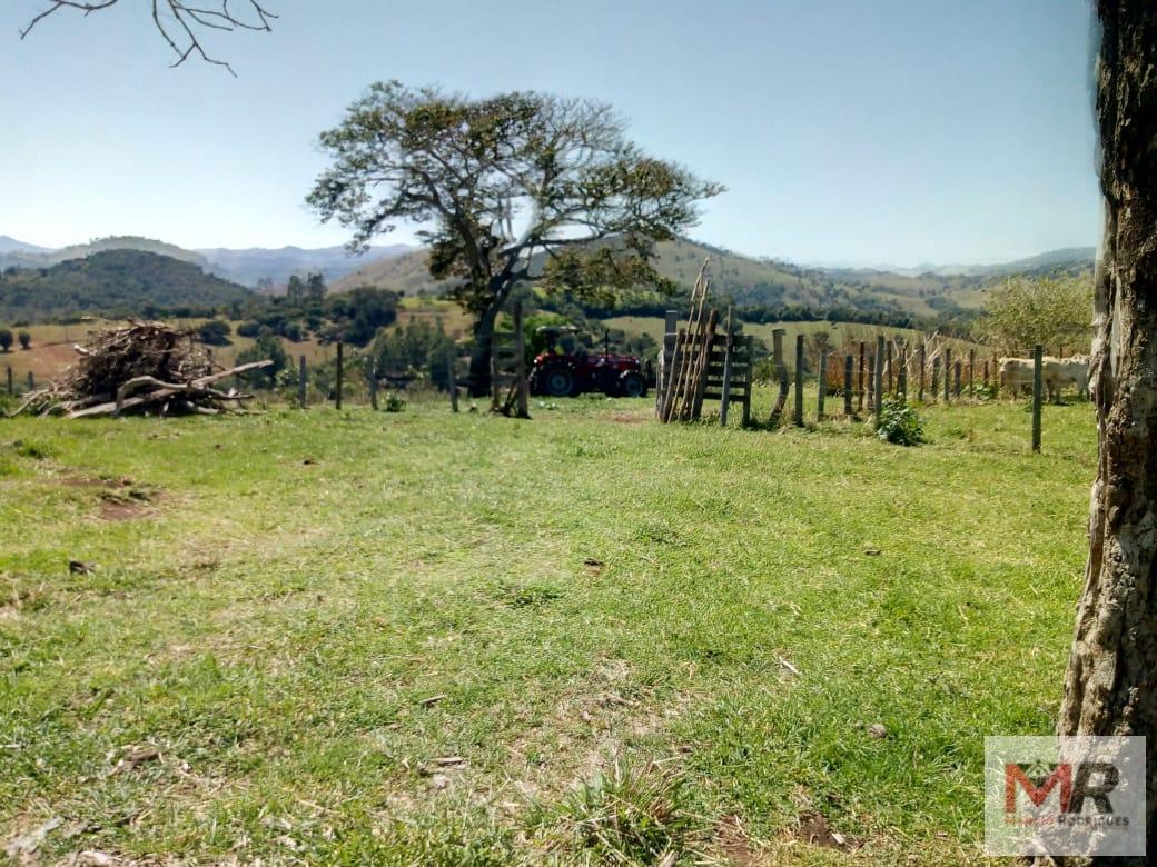 Fazenda de 48 ha em Cambuí, MG