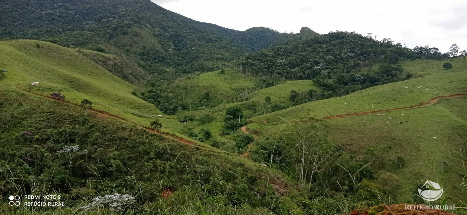 Terreno de 145 ha em Monteiro Lobato, SP