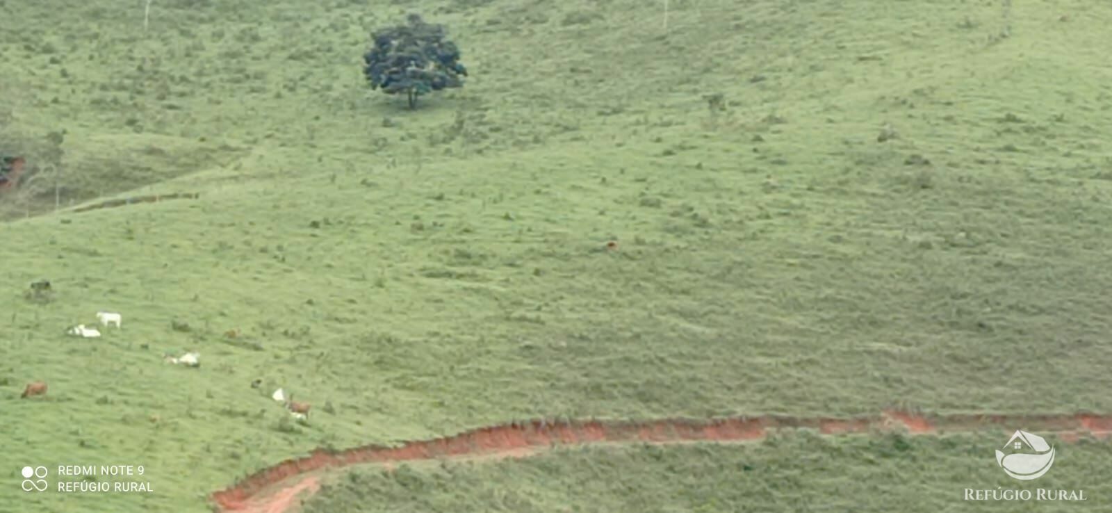 Terreno de 145 ha em Monteiro Lobato, SP