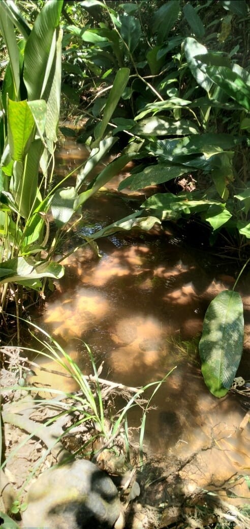 Terreno de 145 ha em Monteiro Lobato, SP