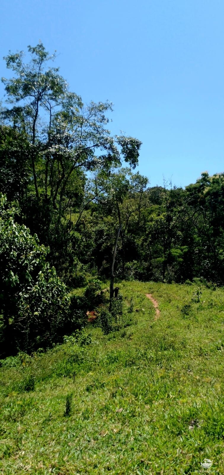 Terreno de 145 ha em Monteiro Lobato, SP