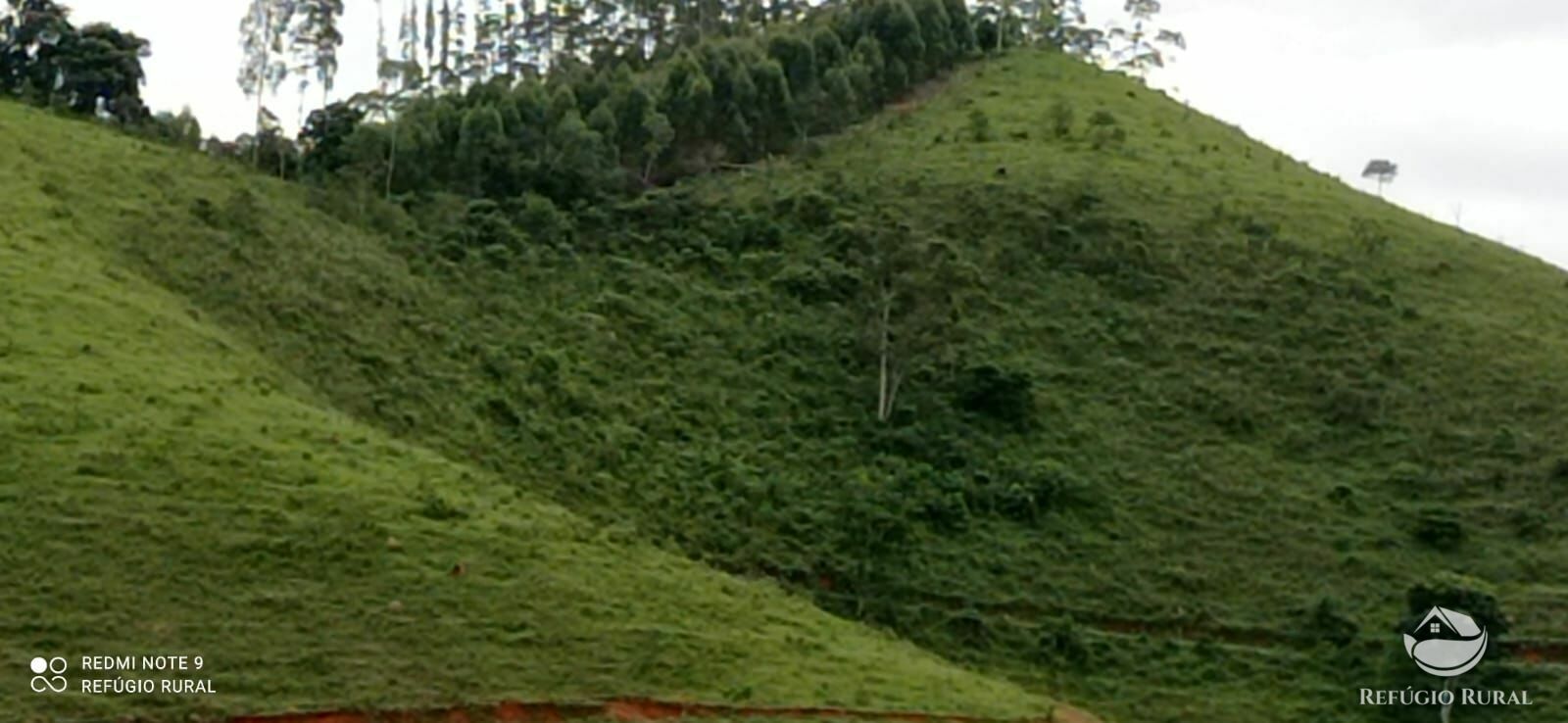 Terreno de 145 ha em Monteiro Lobato, SP