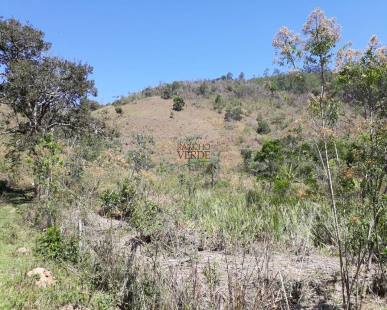 Sítio de 25 ha em Redenção da Serra, SP