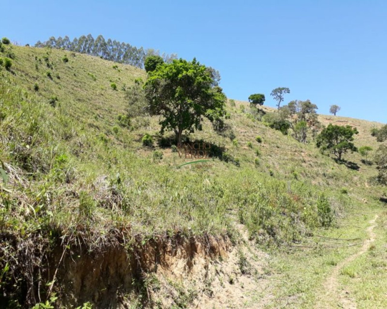 Sítio de 25 ha em Redenção da Serra, SP