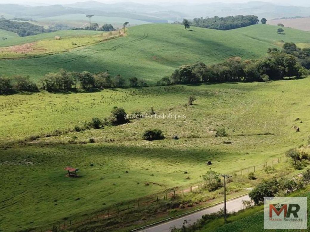 Fazenda de 440 ha em Minduri, MG