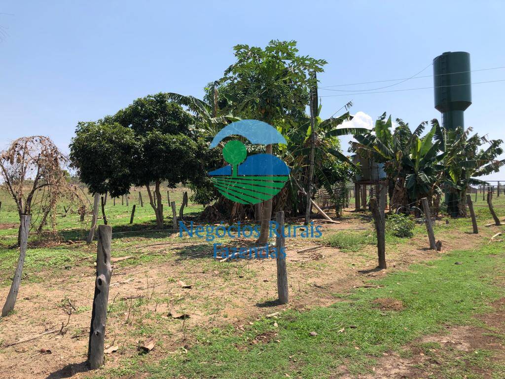 Fazenda de 726 ha em Uruaçu, GO