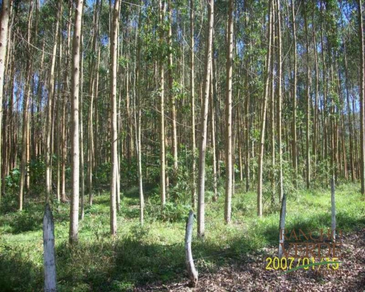 Fazenda de 209 ha em Tremembé, SP