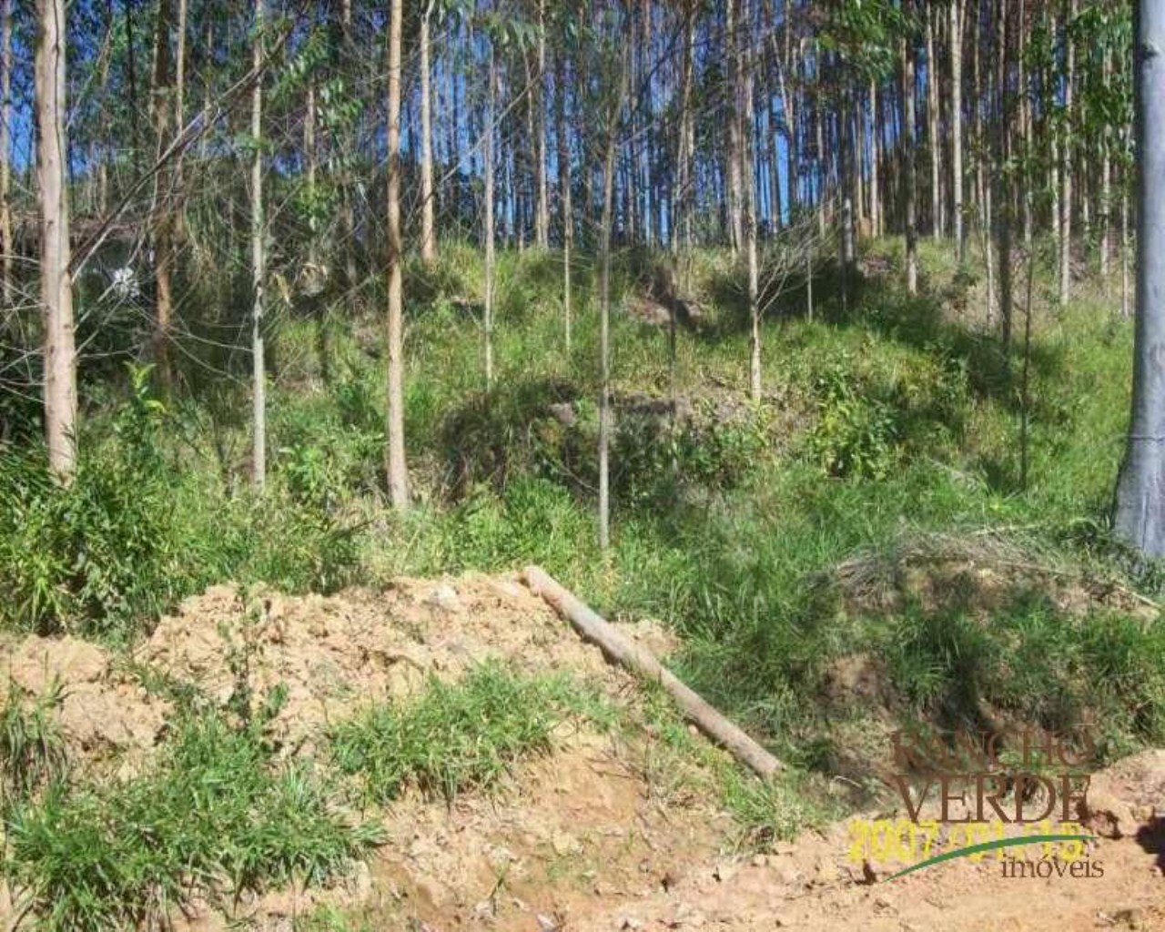 Fazenda de 209 ha em Tremembé, SP