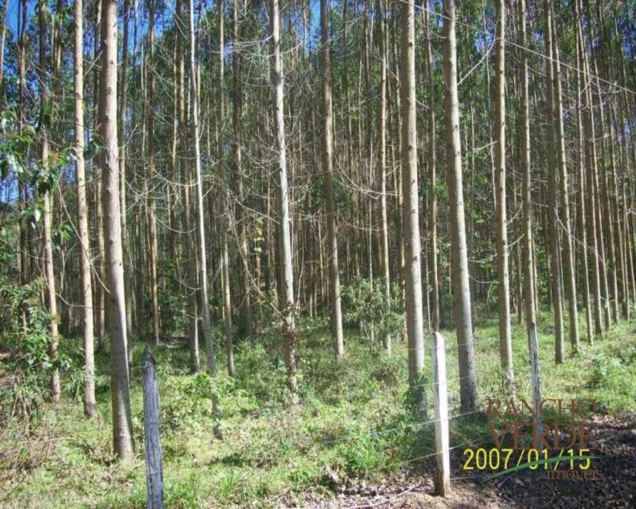 Fazenda de 209 ha em Tremembé, SP